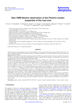 New XMM-Newton observation of the Phoenix cluster: properties of