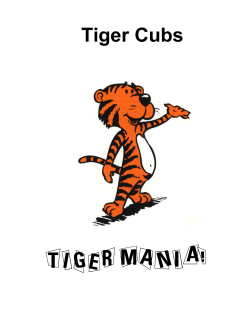 Tiger Cubs - MacScouter