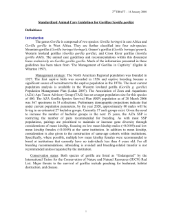 Standardized Animal Care Guidelines for Gorillas