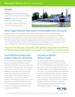 Minor League Baseball Team