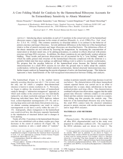 A Core Folding Model for Catalysis by the Hammerhead Ribozyme