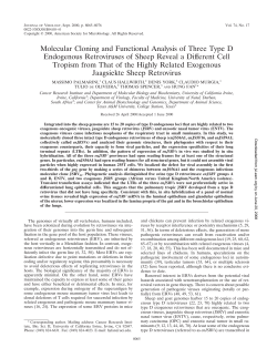 Full text paper - Bioafrica Bioinformatics in Africa