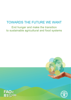 TOWARDS THE FUTURE WE WANT End hunger and make the