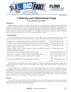 Culturing and Maintaining Fungi