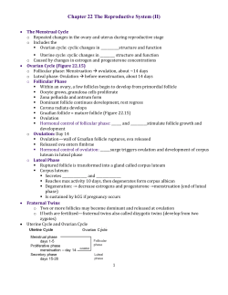 Chapter 22 The Reproductive System (II)
