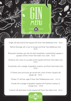 Gin Menu - Electric Cork