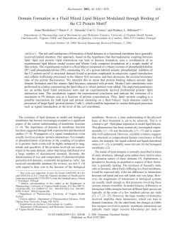 Domain Formation in a Fluid Mixed Lipid Bilayer