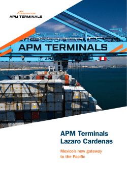 Lazaro Cardenas whitepaper