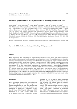 Different populations of RNA polymerase II in living mammalian cells