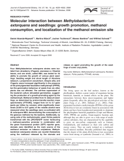 Molecular interaction between Methylobacterium extorquens and