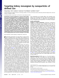 Targeting kidney mesangium by nanoparticles of defined size