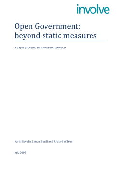 Open Government: beyond static measures