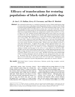 Dullum(03-314) Gene reworkPS.qxp