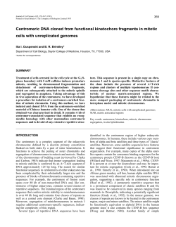 Centromeric DNA cloned from functional kinetochore fragments in