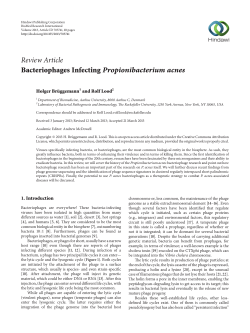 Bacteriophages Infecting Propionibacterium acnes