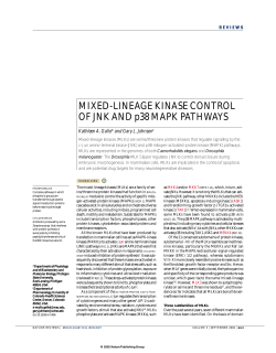 MIXED-LINEAGE KINASE CONTROL OF JNK AND p38 MAPK
