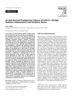 A Lipid-derived Endogenous Inducer of COX