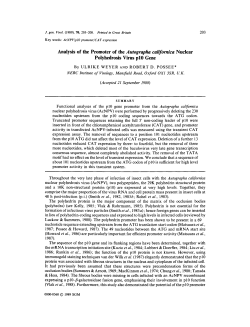 Analysis of the Promoter of the Autographa californica Nuclear