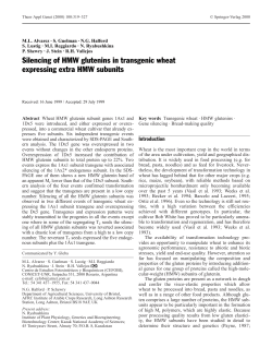 Silencing of HMW glutenins in transgenic wheat expressing