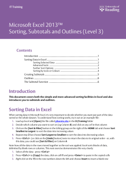 Microsoft Excel 2013 Sorting, Subtotals and Outlines