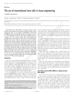 The use of mesenchymal stem cells in tissue engineering: a global