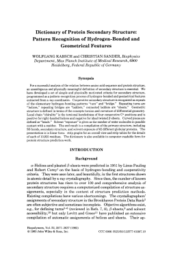 Dictionary of protein secondary structure