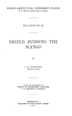 shield budding the mango