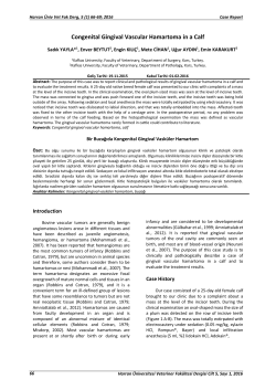 Congenital Gingival Vascular Hamartoma in a Calf