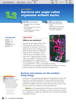 Bacteria are single-celled organisms without nuclei.