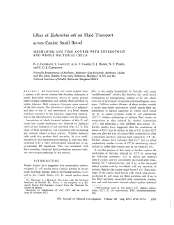 Effect of Escherichia coli on Fluid Transport across Canine