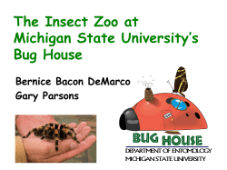 The Insect Zoo at Michigan State University`s Bug House