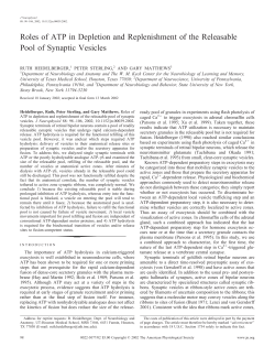 Roles of ATP in Depletion and Replenishment of the Releasable