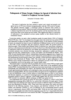Pathogenesis of Mouse Scrapie: Evidence for Spread of Infection