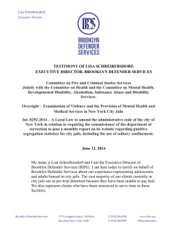 BDS`s Lisa Schreibersdorf Speaks in Support of NYC Council Bill