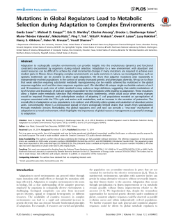 Mutations in Global Regulators Lead to Metabolic Selection during