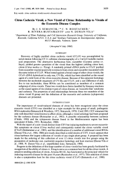 Citrus Cachexia Viroid, a New Viroid of Citrus