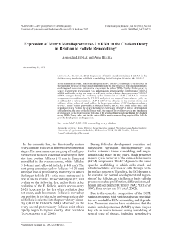 Expression of Matrix Metalloproteinase-2 mRNA in the