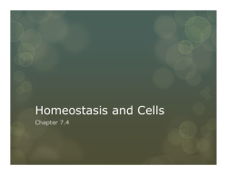 Homeostasis and Cells - mrslorenzscience.com
