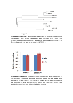 Supplemental Data