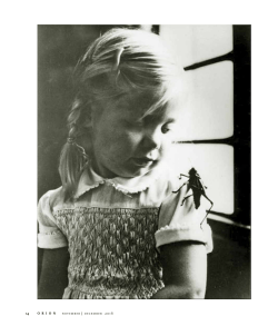 A Case for Wonder - Christopher Norment​In the Fullness of Time