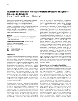 Nucleotide switches in molecular motors: structural analysis of