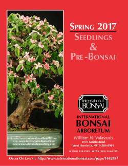 BONSAI - International Bonsai Arboretum
