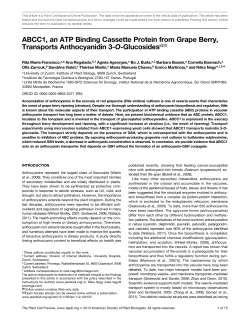ABCC1, an ATP Binding Cassette Protein from