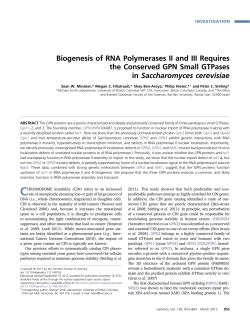 Biogenesis of RNA Polymerases II and III Requires the