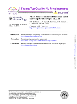 Structure of the human class I histocompatibility