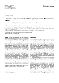 Lipid stores, ovary development, and brain gene expression