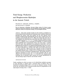 Total Energy Production and Phosphocreatine
