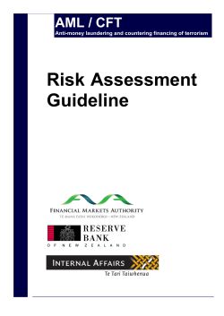 Risk Assessment Guideline