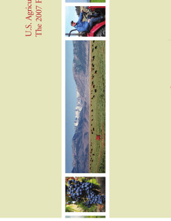 U.S. Agricultural Policy and The 2007 Farm Bill