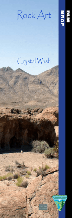 brochure - Nevada Rock Art Foundation